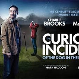 The Curious Incident of the Dog in the Night Time