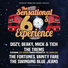 The Sensational 60’s Experience