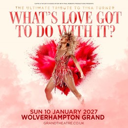 What's Love Got To Do With It?