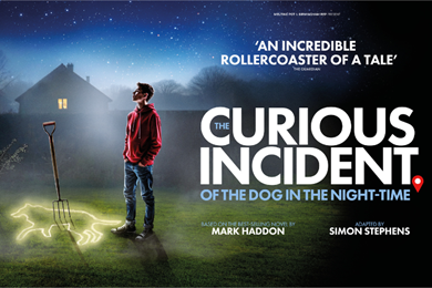 The Curious Incident of the Dog in the Night-Time