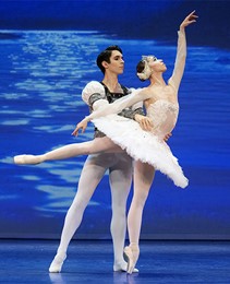 Swan Lake