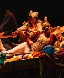 A Midsummer Night's Dream