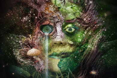 Bryony Kimmings: Bog Witch