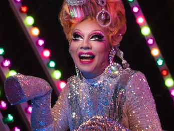 Ginger Johnson: Show Pony